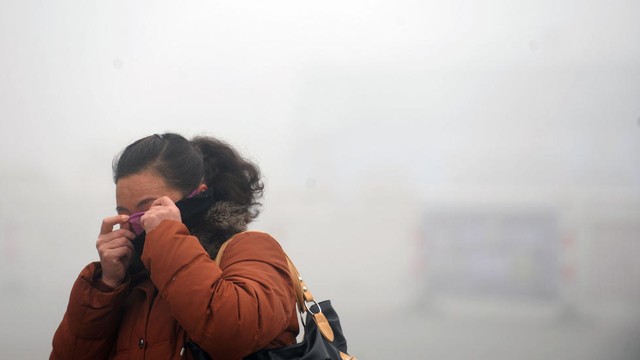 Bilde tatt den 30. januar 2013 i Haozhou, Kina.