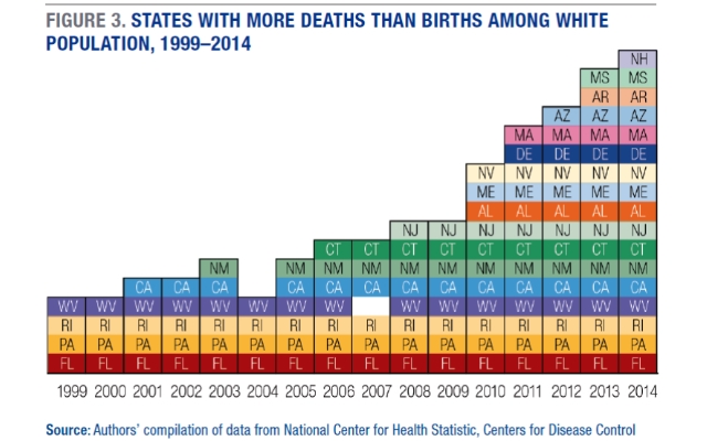 hvit_stat6