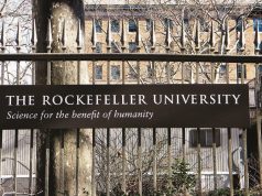 The Rockefeller University