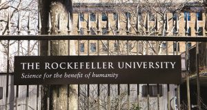 The Rockefeller University