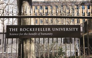 The Rockefeller University