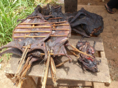 https://commons.wikimedia.org/wiki/File:Bushmeat_-_Buschfleisch_Ghana.JPG