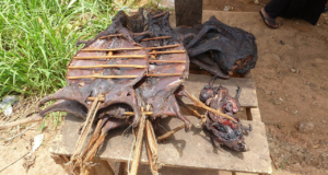 https://commons.wikimedia.org/wiki/File:Bushmeat_-_Buschfleisch_Ghana.JPG