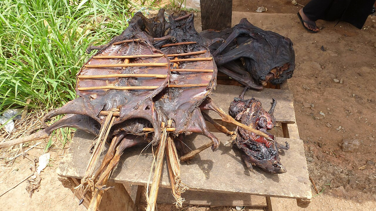 https://commons.wikimedia.org/wiki/File:Bushmeat_-_Buschfleisch_Ghana.JPG